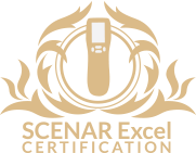 SCENAR Excel certification for training courses